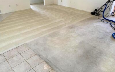 Why Use a Professional Carpet Cleaning Service